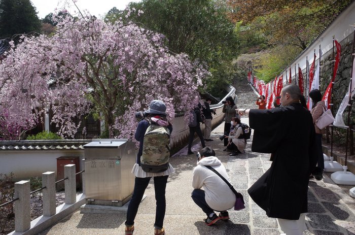 やまとびとツアーズ