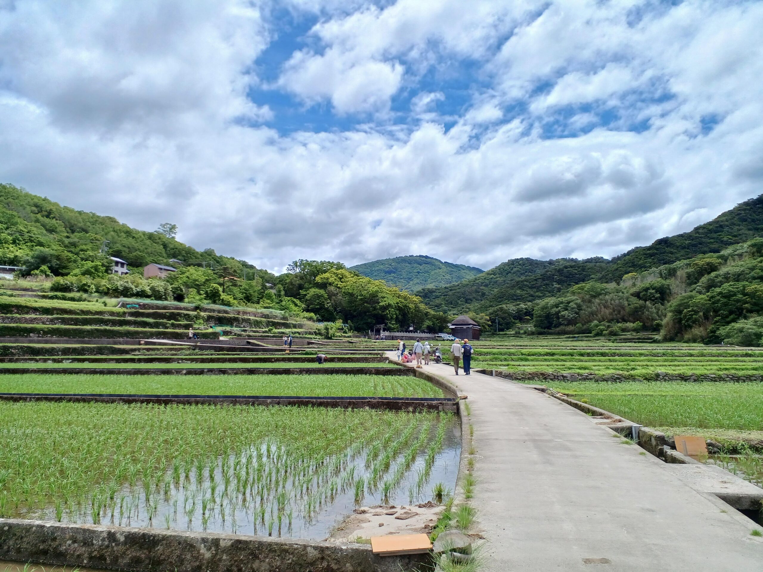 shodoshima2025