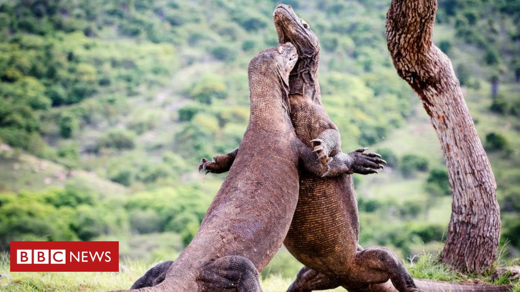 Tourists must pay $1,000 to enter 'Dragon Island' Tourists must pay $1,000 to enter 'Dragon Island'